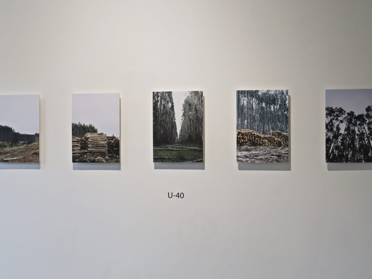 Galería La Caracola inauguró dos nuevas exposiciones sobre el extractivismo y los tabúes de la cultura chilena