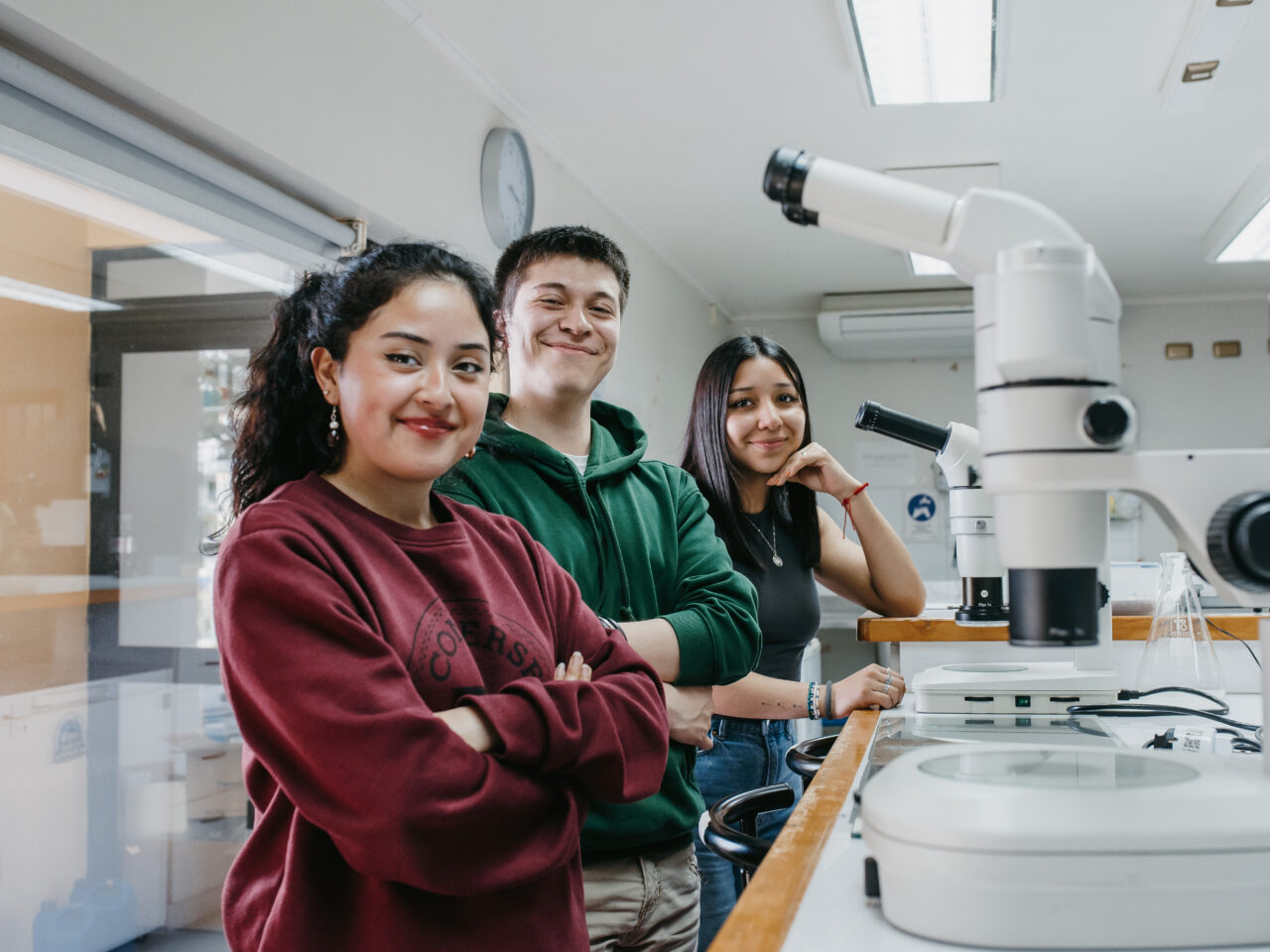 ULagos abrirá este 2027 la carrera de Biología Marina en Puerto Montt