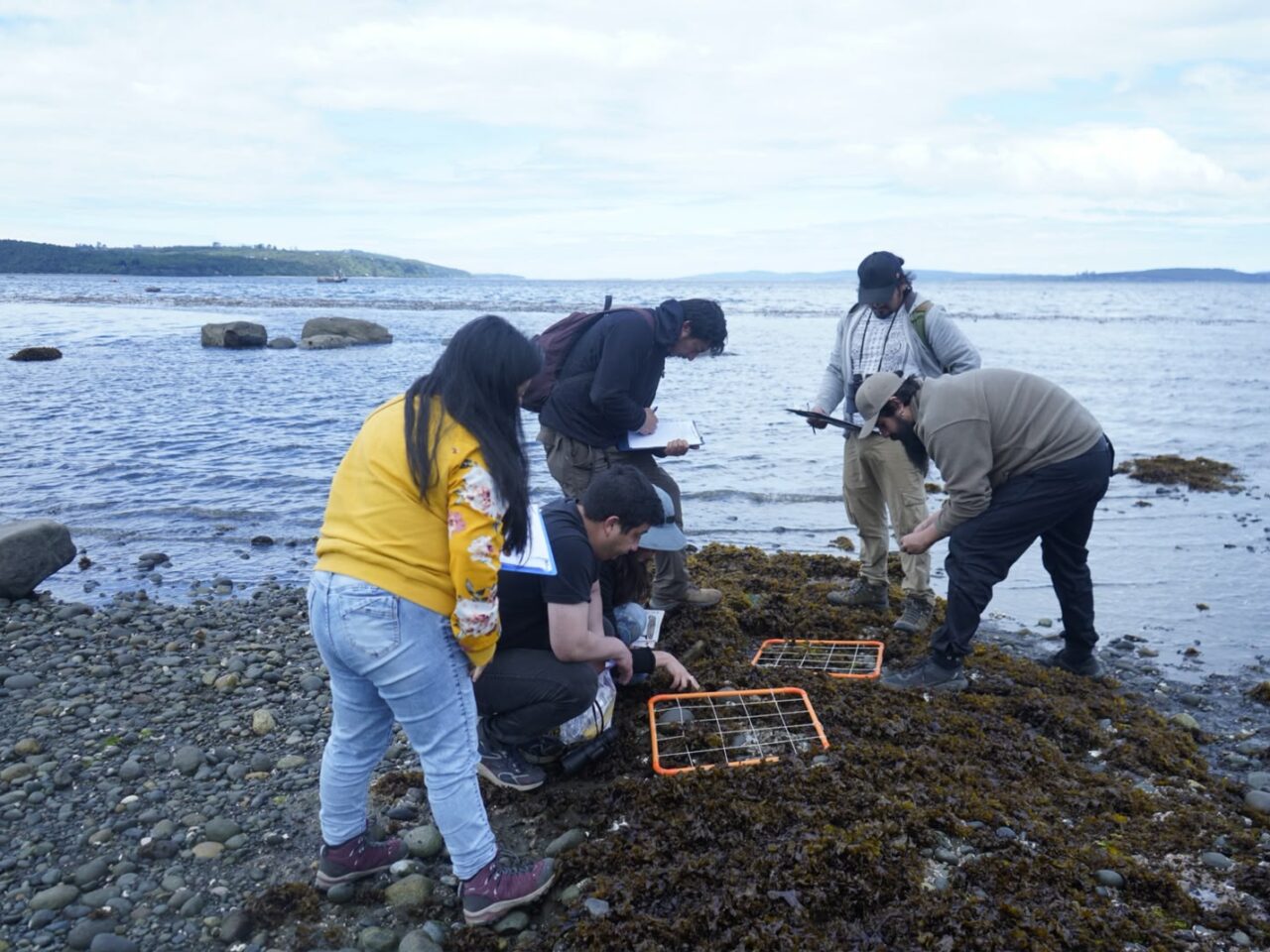 ULagos será sede de encuentro que reunirá a cinco pueblos originarios en torno a la conservación marina comunitaria