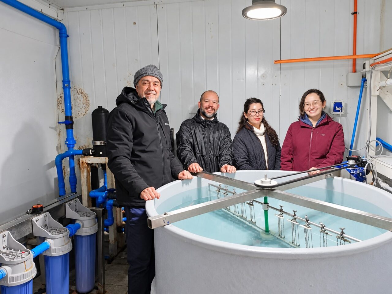 Semillero de Investigación fortalece habilidades científicas de estudiantes  por medio del estudio del cochayuyo