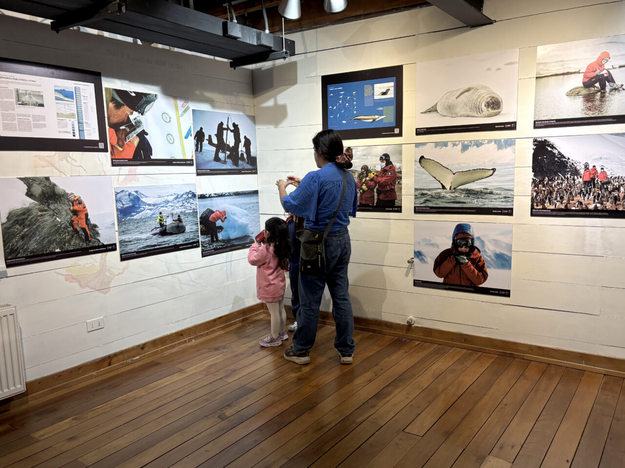 Dra. Daly Noll dicta charla inaugural de la exposición “Ciencia Antártica & Cambio Climático” en Puerto Varas